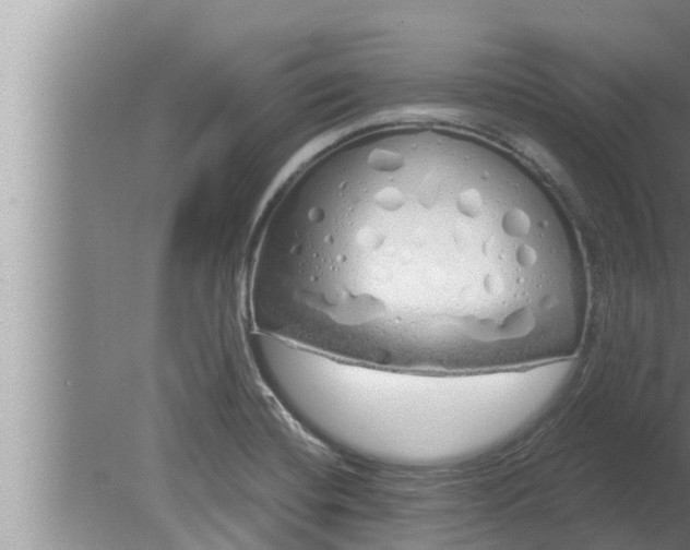 X0000080131420200612221845