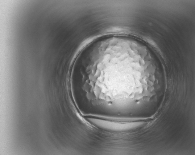 X0000080131421200612221845