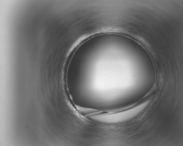 X0000080131422200612221845