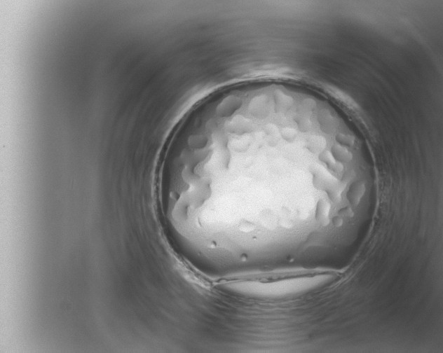 X0000080131423200612221845