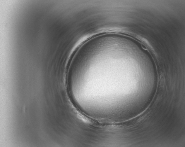 X0000080131424200612221845