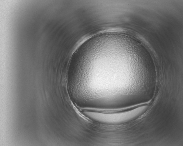 X0000080131425200612221845