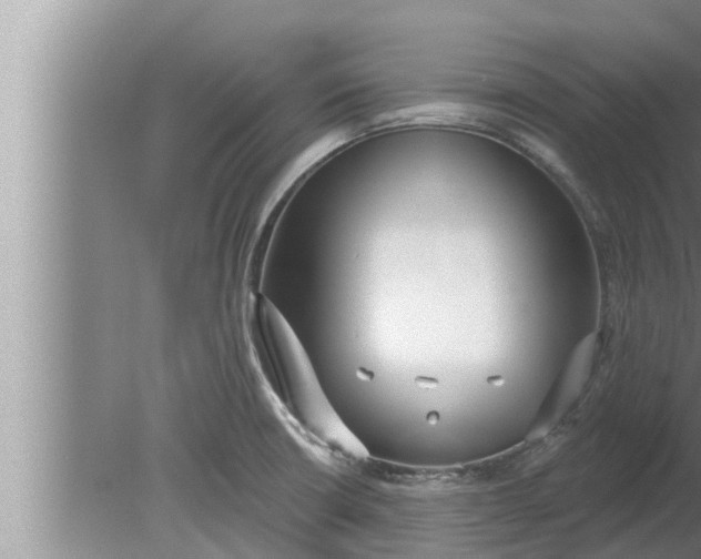 X0000080131426200612221845