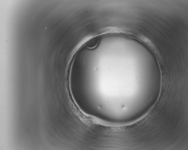 X0000080131427200612221845