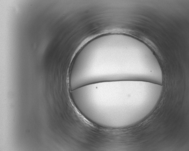 X0000080131428200612221845