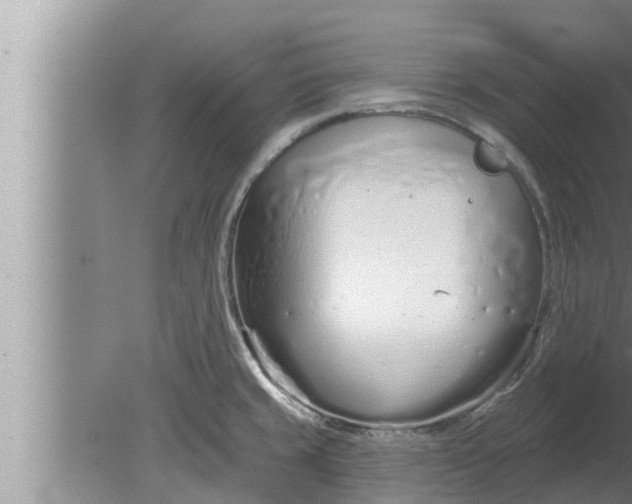 X0000080131429200612221845