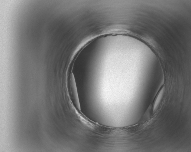 X0000080131430200612221846