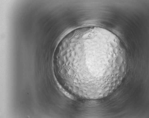 X0000080131431200612221846