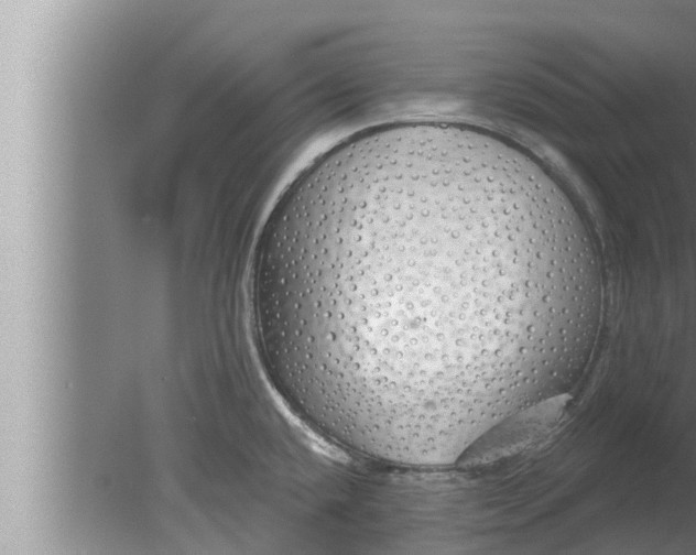 X0000080131432200612221846