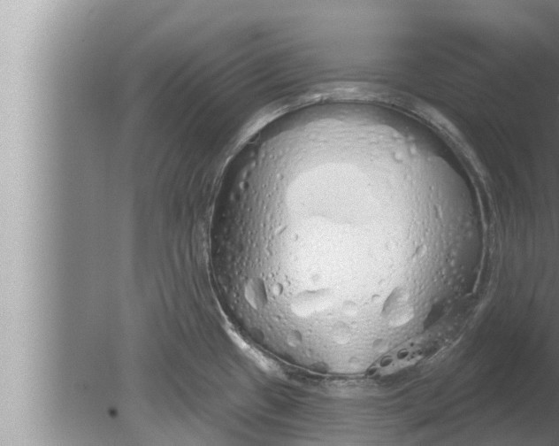 X0000080131433200612221846