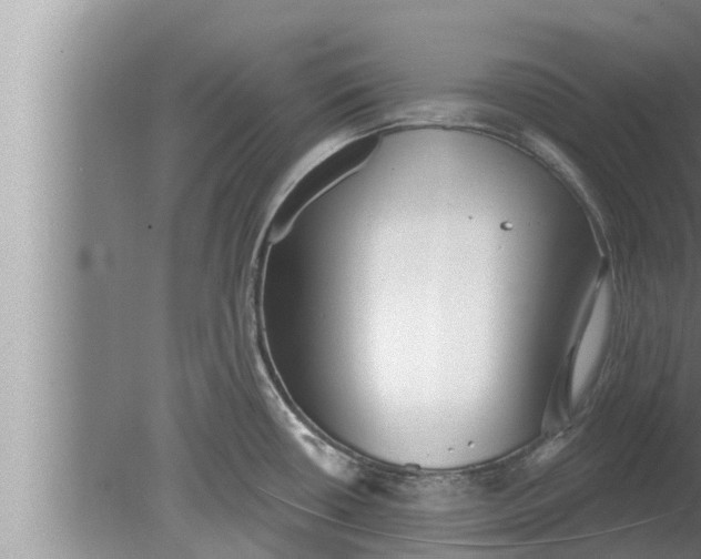 X0000080131434200612221846