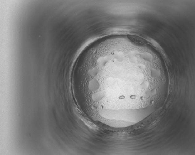 X0000080131435200612221846