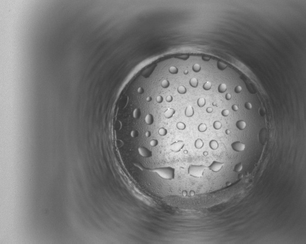 X0000080131436200612221846