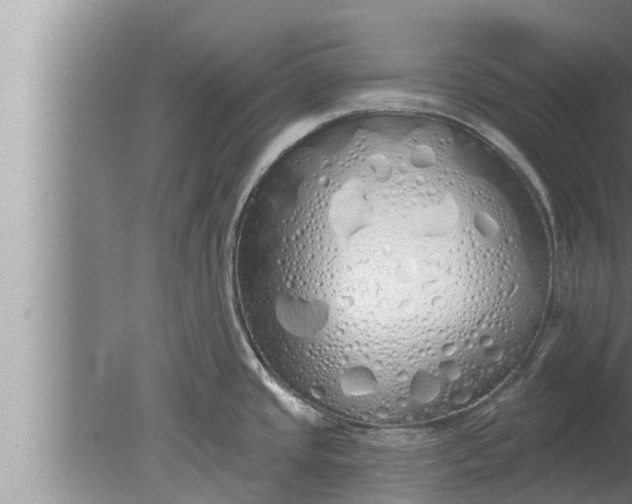 X0000080131437200612221846