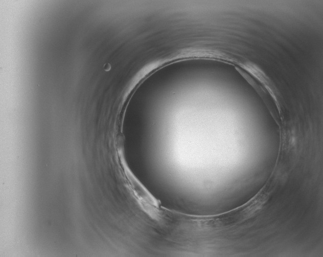 X0000080131438200612221846