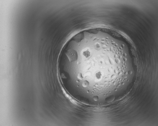 X0000080131439200612221846