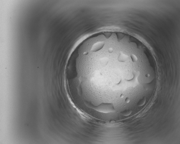 X0000080131440200612221846