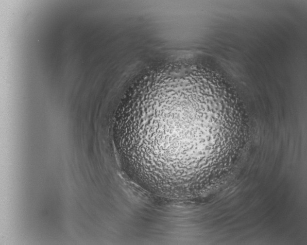 X0000080131441200612221845