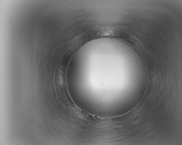 X0000080131442200612221845