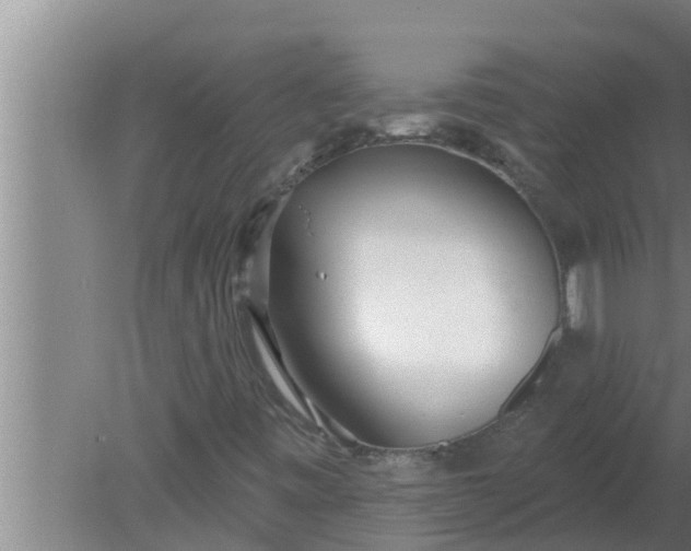 X0000080131443200612221845