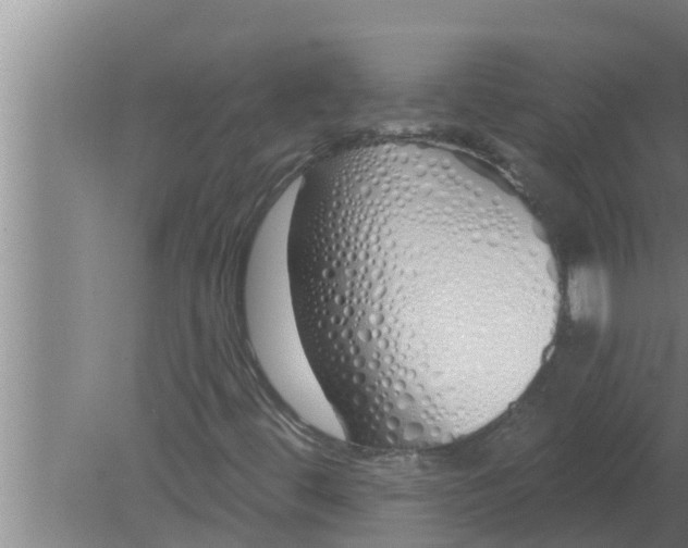 X0000080131444200612221845