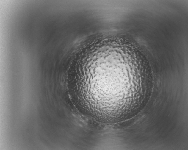 X0000080131445200612221845