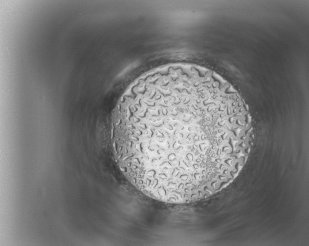 X0000080131446200612221845