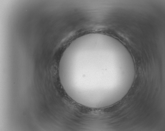 X0000080131447200612221845