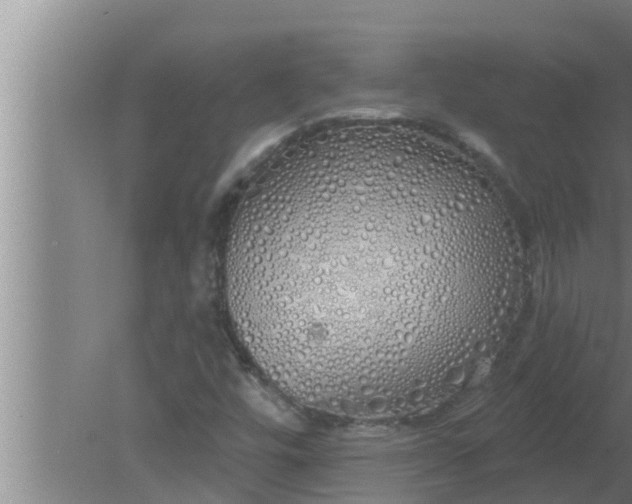 X0000080131448200612221845