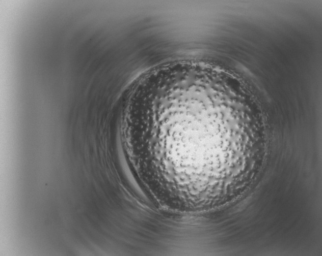 X0000080131449200612221845