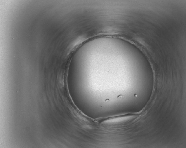 X0000080131451200612221845