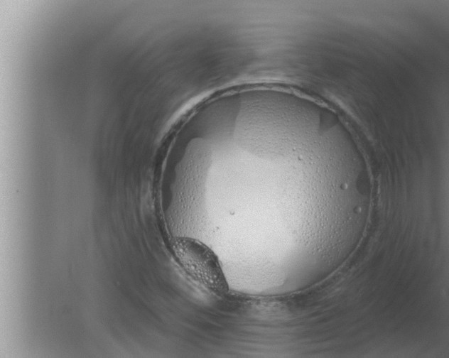 X0000080131452200612221845