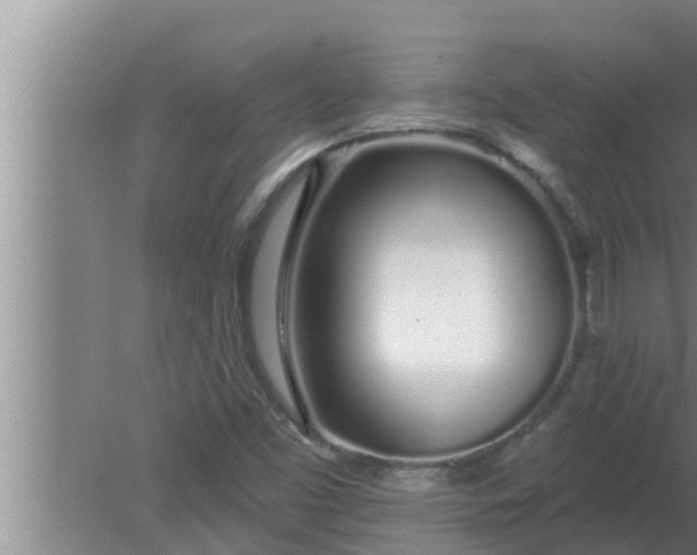 X0000080131453200612221845