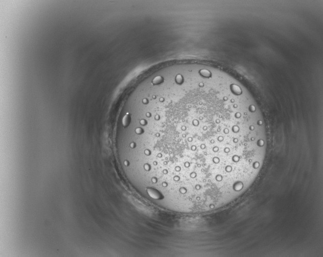 X0000080131454200612221845