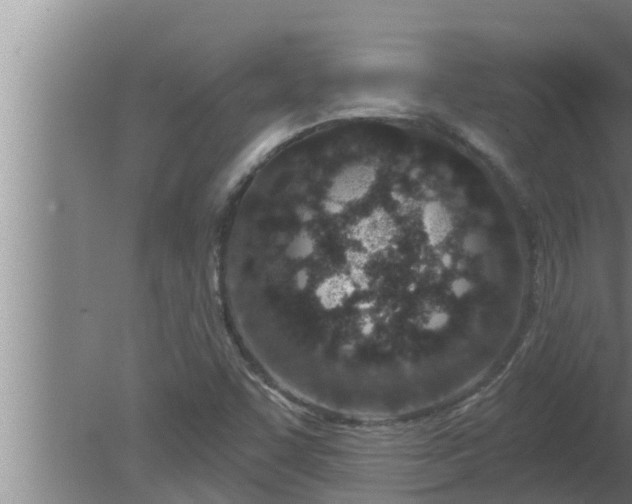 X0000080131455200612221845