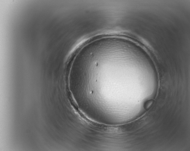 X0000080131456200612221845