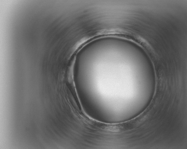 X0000080131457200612221845