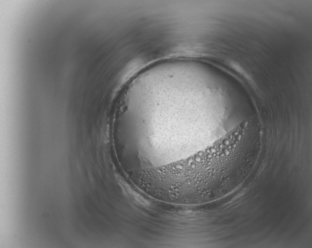 X0000080131459200612221845