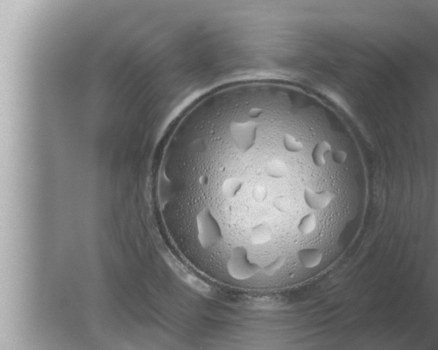 X0000080131460200612221845