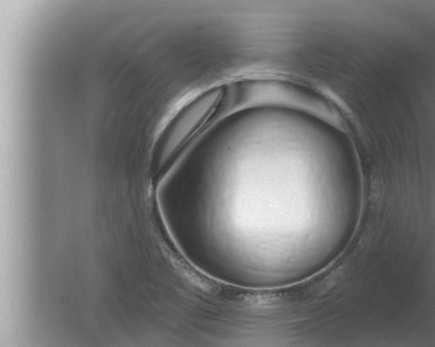 X0000080131461200612221845