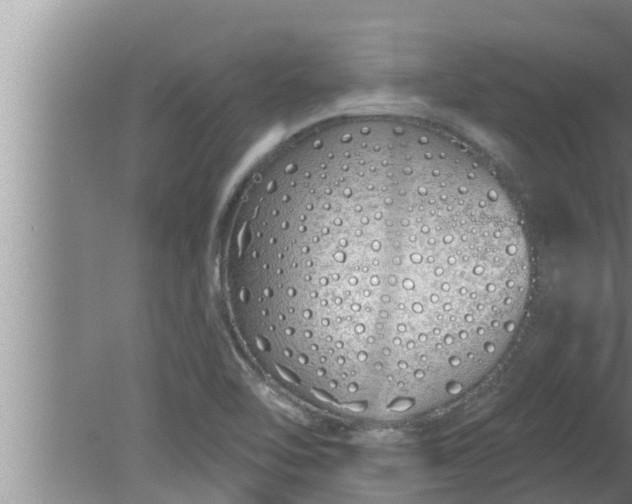 X0000080131462200612221845