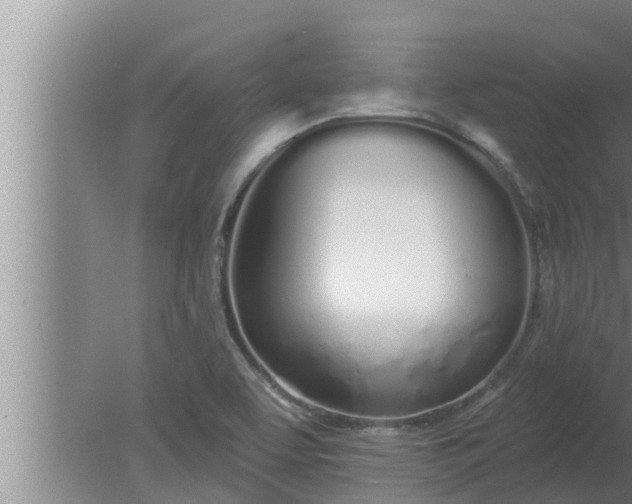 X0000080131463200612221844