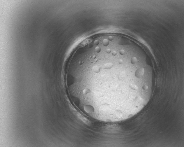 X0000080131464200612221844