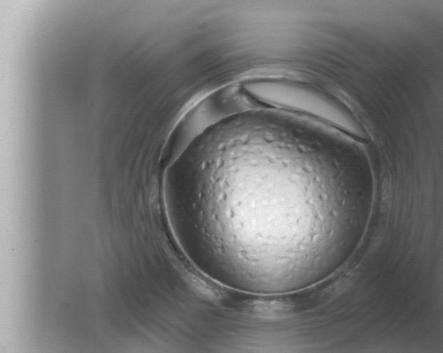 X0000080131465200612221844