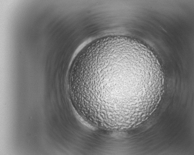 X0000080131466200612221844