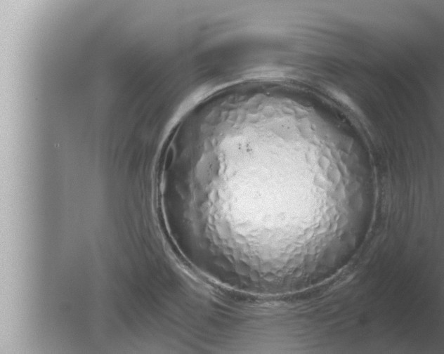 X0000080131467200612221844