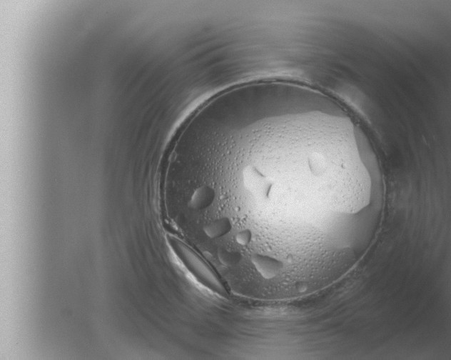 X0000080131468200612221844