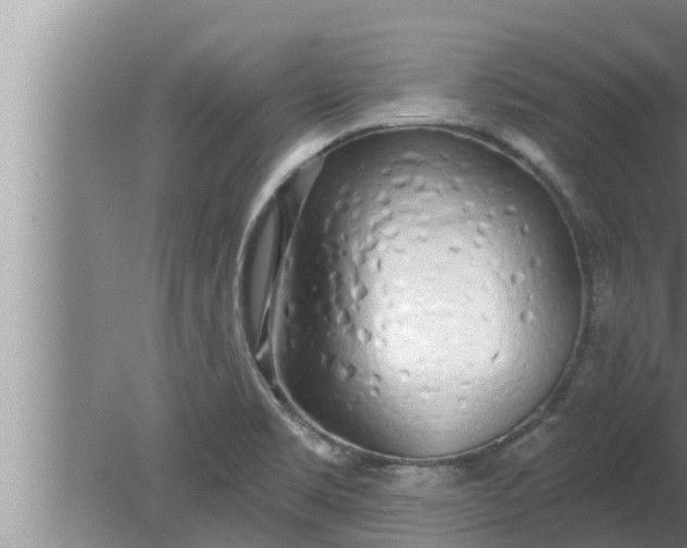 X0000080131469200612221844