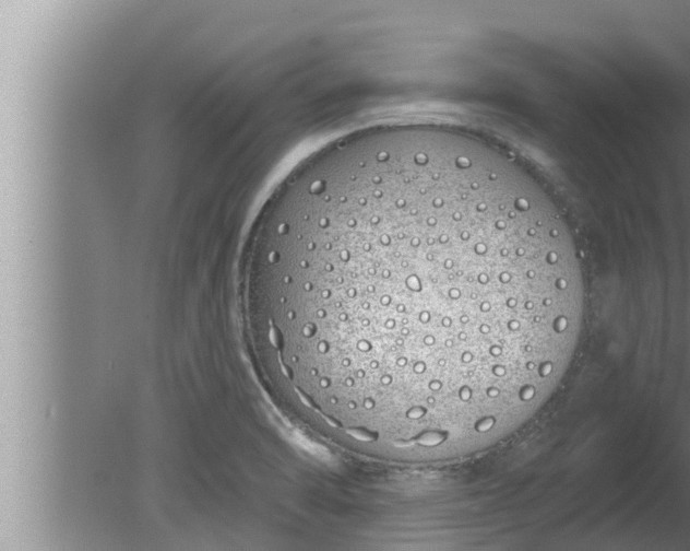 X0000080131470200612221844