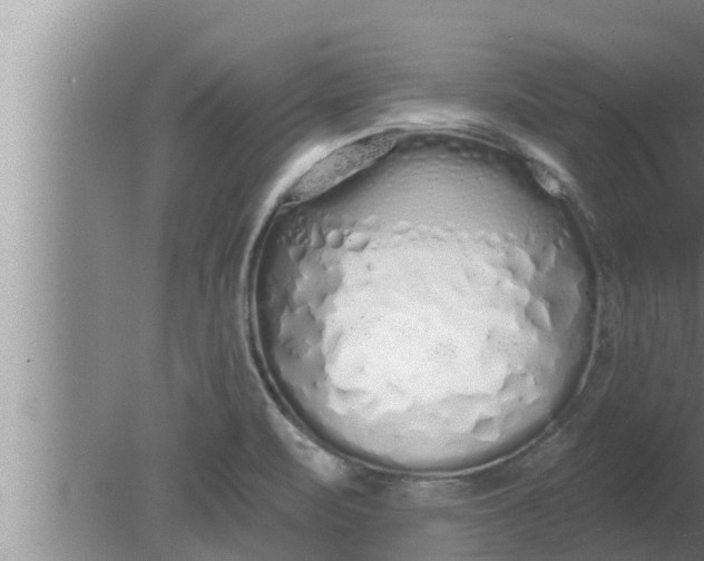 X0000080131471200612221844